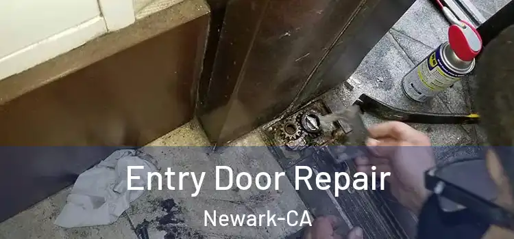  Entry Door Repair Newark-CA