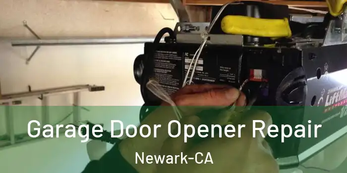  Garage Door Opener Repair Newark-CA