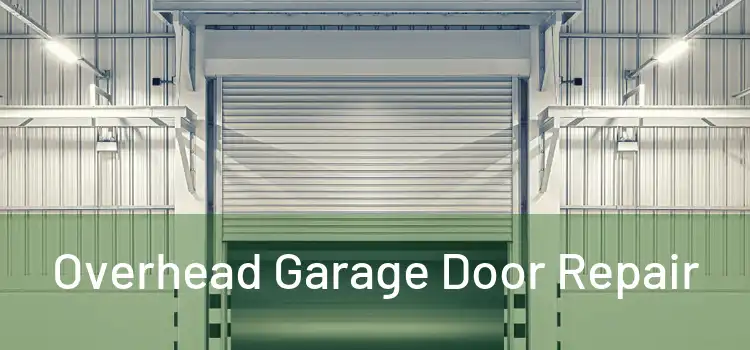  Overhead Garage Door Repair 