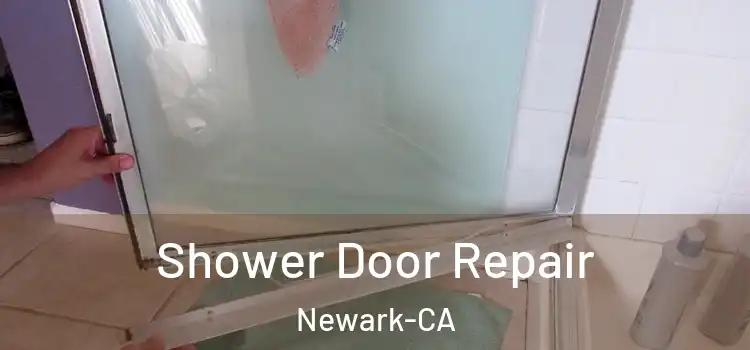  Shower Door Repair Newark-CA